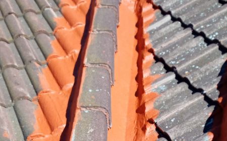 reparacio ndefiltracionesentejadosypesebronesengranada 455w